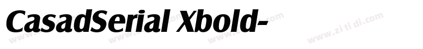 CasadSerial Xbold字体转换 CasadSerial Xbold字体转换